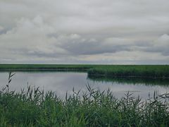 -黑龙江扎龙生态旅游区