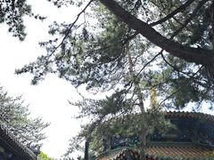 -潭柘寺景区