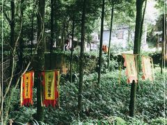 -青城山