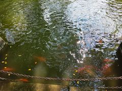 -柳侯公园