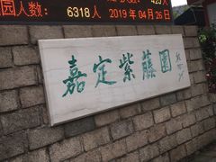 -嘉定紫藤园