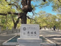 -北陵公园