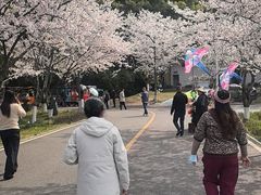 -团城山公园