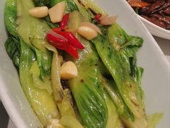 -红樱桃·新派辽菜(北行店)