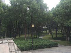 -重庆市江北嘴中央商务区中央公园