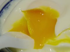 炖奶窝蛋-百花传统甜品店(原址店)