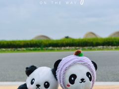 -中国天府农业博览园