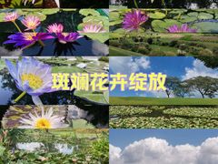 -上海辰山植物园