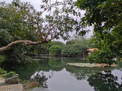 -荔枝公园(福田区)
