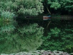 -上海共青森林公园