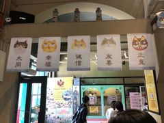 -猫咪博物馆(顶澳仔猫街店)