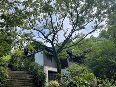 -中国茶叶博物馆(双峰馆区)