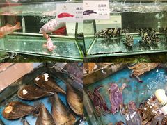 -大东方海鲜酒楼(小武基桥店)