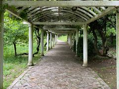 -苏州上方山国家森林公园