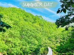 -洛阳白云山景区