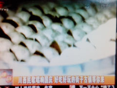 -迎宾小食