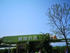 -太湖雪蚕桑文化园