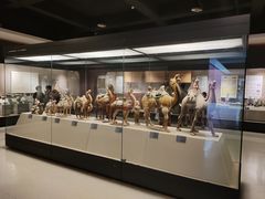 -西安大唐西市博物馆