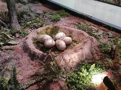 -湖南省地质博物馆