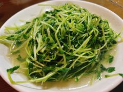 -沈记菜馆(酒仙桥路店)