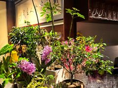 -肆海小川菜酒馆Wine Bistro (青年路店)
