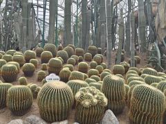 -南山植物园
