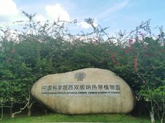 -中国科学院西双版纳热带植物园