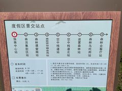 -黄海国家森林公园