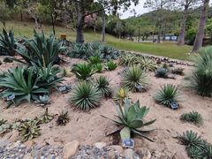 -东莞植物园