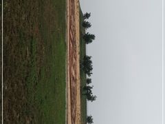 -汉长安城未央宫国家考古遗址公园