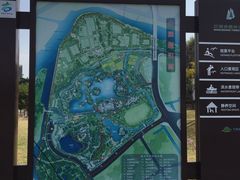 -王借岗森林公园