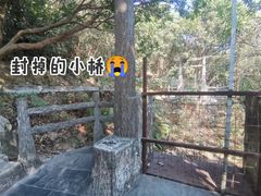 -梧桐山风景名胜区