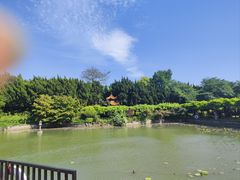 -嘉定紫藤园