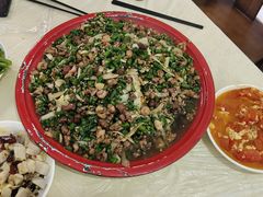 -东吴霸王兔(松青路店)