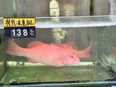 -蠔爺王志德生蚝馆(金沙湾店)