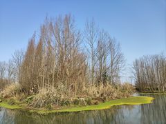 -桤木河湿地公园