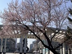 -二一九公园