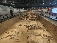 -洛阳周王城天子驾六博物馆