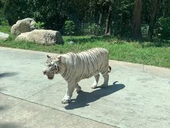 -西安秦岭野生动物园
