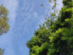 -火炉山森林公园