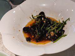 -洞庭家宴·头牌甲鱼(广渠门店)
