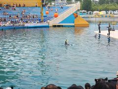 -秦皇岛乐岛海洋王国