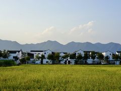 -东梓关景区村庄