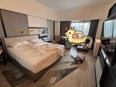 -新加坡乌节希尔顿酒店