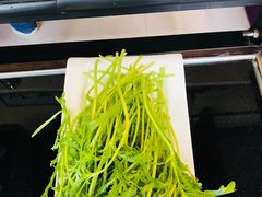 -蒙星月涮肚火锅城(宏运家园店)
