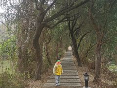 -福州大学(旗山校区)