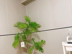 -DEMO黛慕蛋糕(中泰店)