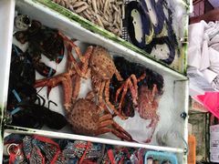 -南沙十九涌渔人码头-南门