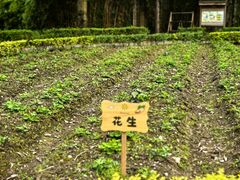 -青城山六善酒店·紫氣園中餐厅