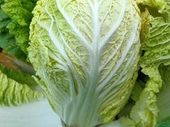 白菜-永兴食杂店烘焙坊(新年蛋糕店)